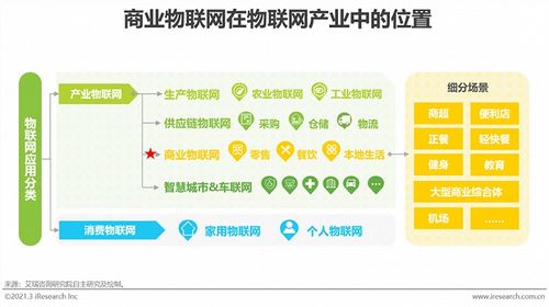 2021年中国商业物联网行业研究报告 场景应用割裂，未来规模将突破5000亿元